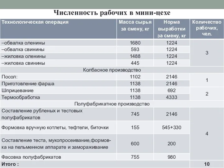 Численность рабочих в мини-цехе