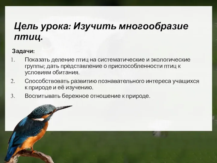 Цель урока: Изучить многообразие птиц. Задачи: Показать деление птиц на