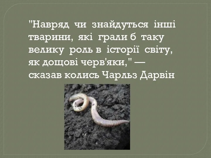 "Навряд чи знайдуться інші тварини, які грали б таку велику