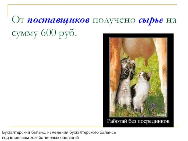 От поставщиков получено сырье на сумму 600 руб. Бухгалтерский баланс,