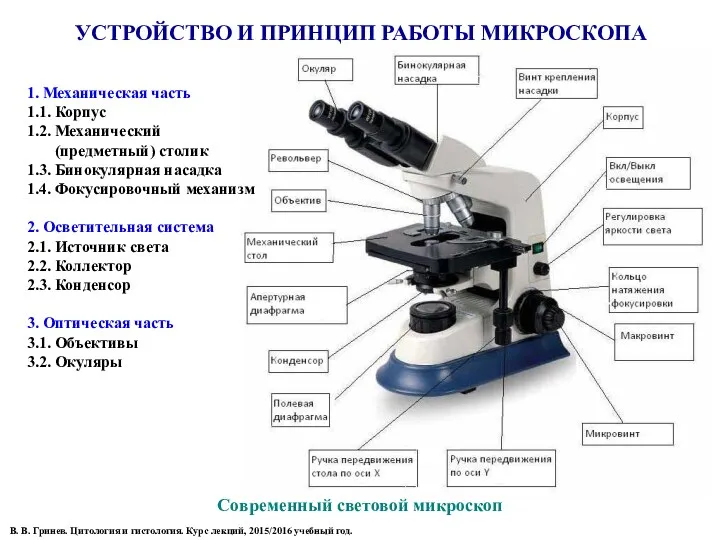 УСТРОЙСТВО И ПРИНЦИП РАБОТЫ МИКРОСКОПА Современный световой микроскоп 1. Механическая часть 1.1. Корпус