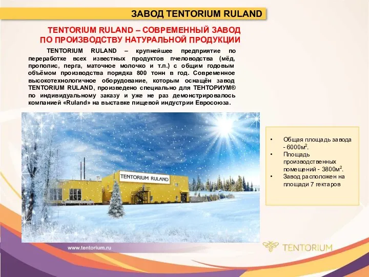 TENTORIUM RULAND – СОВРЕМЕННЫЙ ЗАВОД ПО ПРОИЗВОДСТВУ НАТУРАЛЬНОЙ ПРОДУКЦИИ ЗАВОД