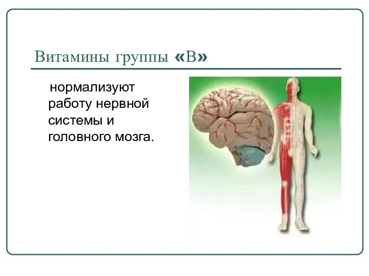 Витамины группы «В» нормализуют работу нервной системы и головного мозга.