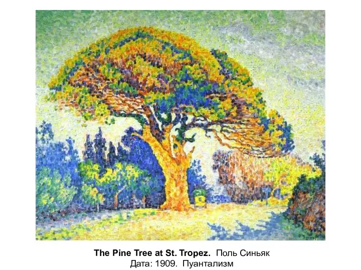 The Pine Tree at St. Tropez. Поль Синьяк Дата: 1909. Пуантализм