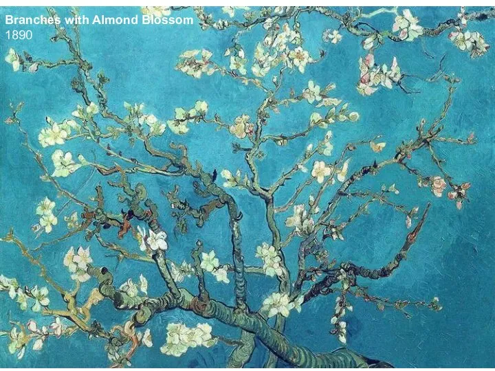 Branches with Almond Blossom 1890