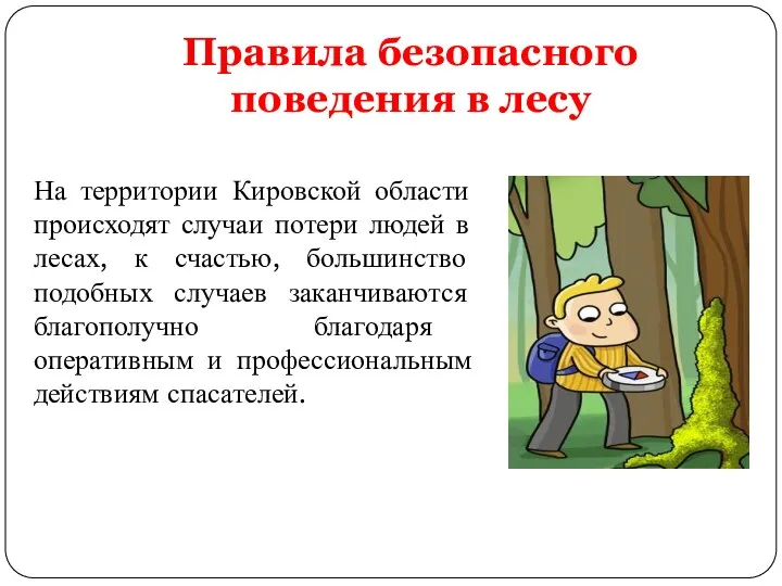 Правила безопасного поведения в лесу На территории Кировской области происходят