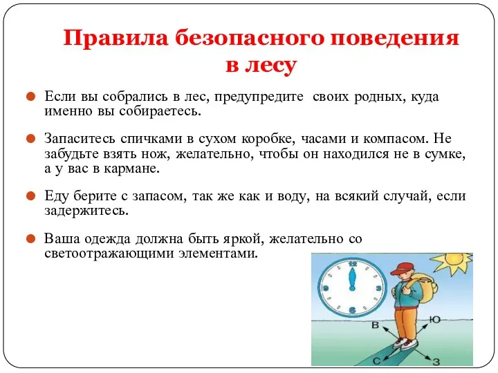 Правила безопасного поведения в лесу Если вы собрались в лес,