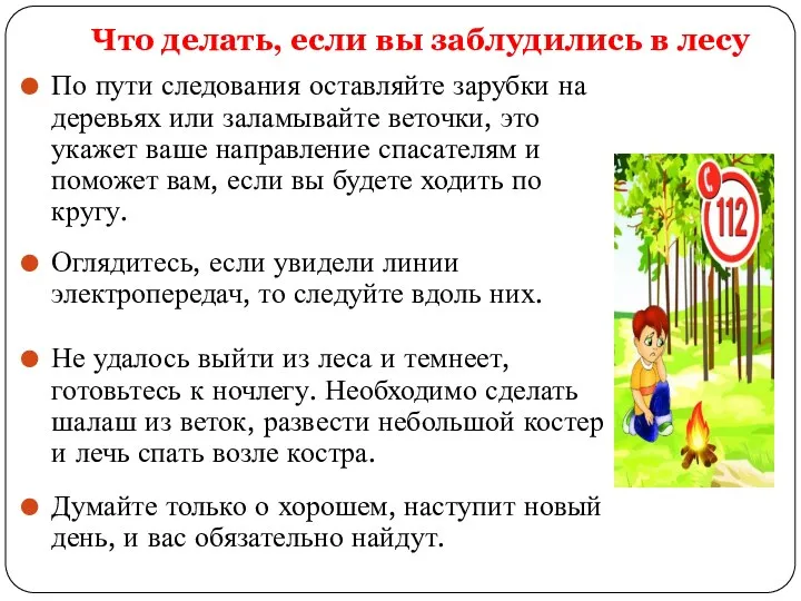 Что делать, если вы заблудились в лесу По пути следования