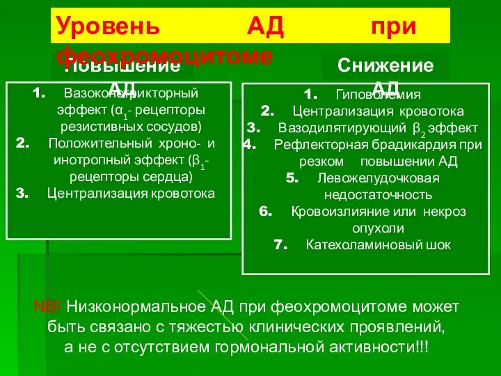 Вазоконстрикторный эффект (α1- рецепторы резистивных сосудов) Положительный хроно- и инотропный