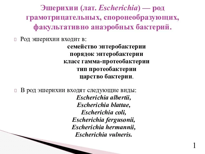 Род эшерихии входит в: семейство энтеробактерии порядок энтеробактерии класс гамма-протеобактерии тип протеобактерии царство