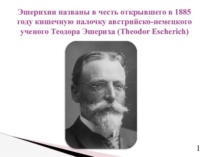 Эшерихии названы в честь открывшего в 1885 году кишечную палочку австрийско-немецкого ученого Теодора