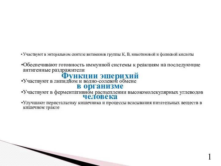 Участвуют в энтеральном синтезе витаминов группы К, В, никотиновой и фолиевой кислоты Обеспечивают