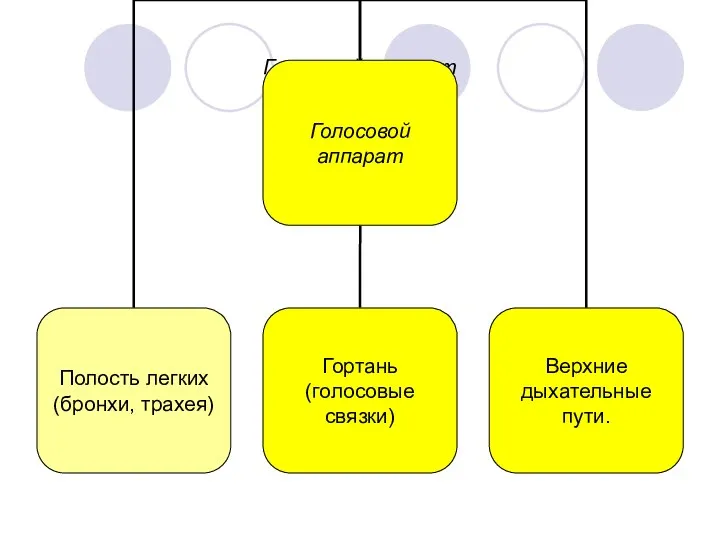 Голосовой аппарат