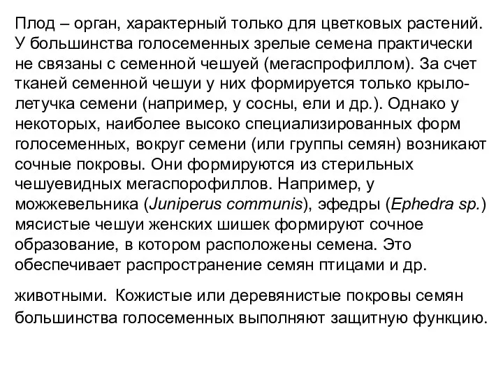 Плод – орган, характерный только для цветковых растений. У большинства