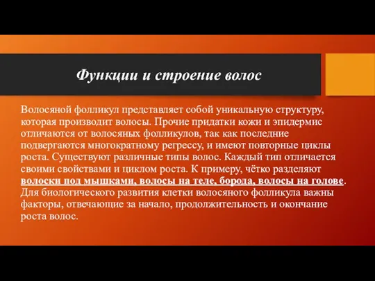 Функции и строение волос Волосяной фолликул представляет собой уникальную структуру,