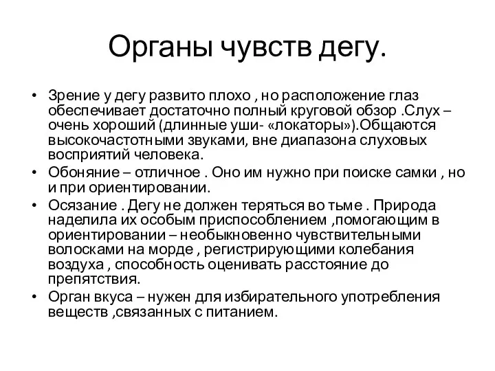 Органы чувств дегу. Зрение у дегу развито плохо , но