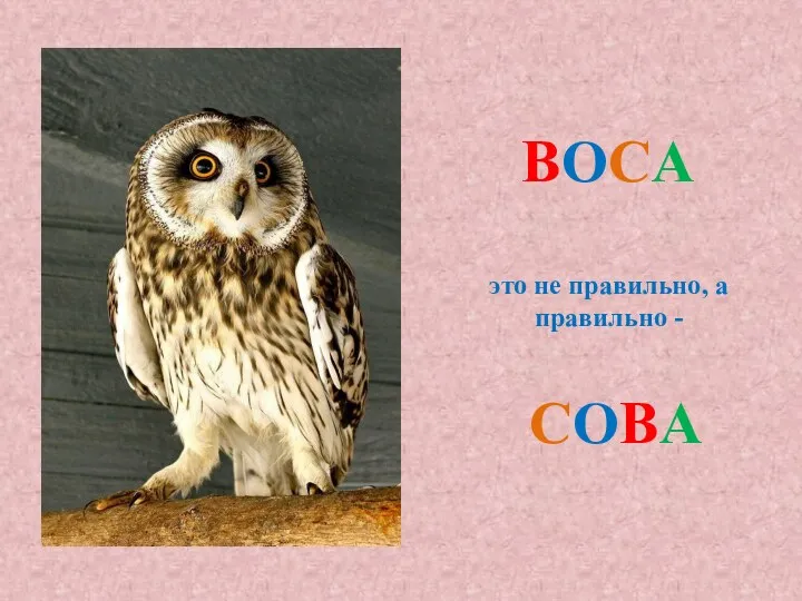 ВОСА это не правильно, а правильно - СОВА