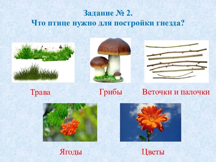 Задание № 2. Что птице нужно для постройки гнезда? Трава Грибы Веточки и палочки Ягоды Цветы