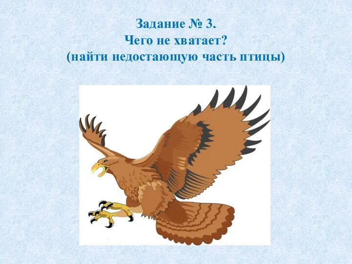 Задание № 3. Чего не хватает? (найти недостающую часть птицы)