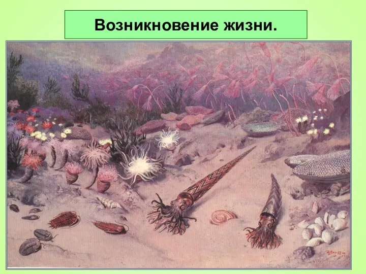 Возникновение жизни.