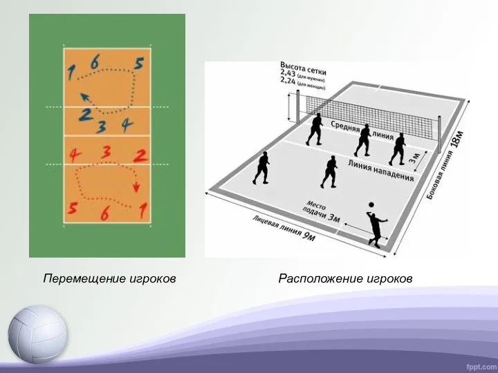 Расположение игроков Перемещение игроков