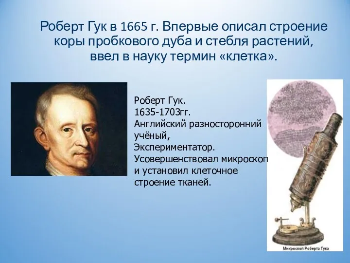 Роберт Гук в 1665 г. Впервые описал строение коры пробкового дуба и стебля