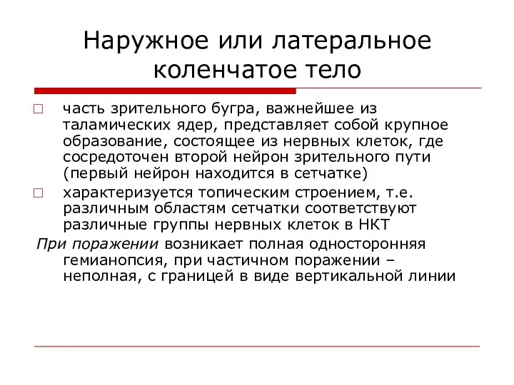 Наружное или латеральное коленчатое тело часть зрительного бугра, важнейшее из