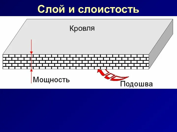 Слой и слоистость