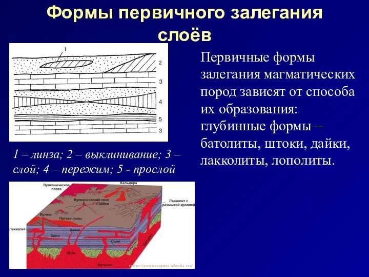 Формы первичного залегания слоёв 1 – линза; 2 – выклинивание;