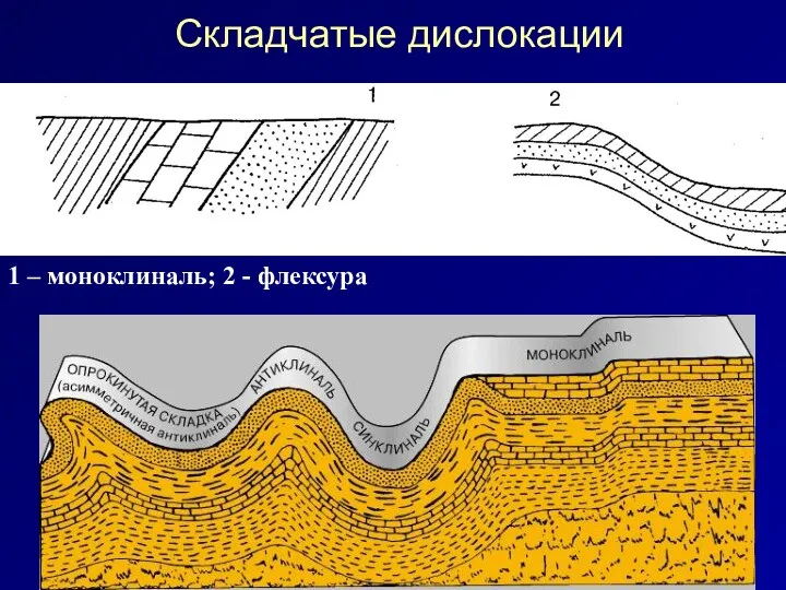 Складчатые дислокации 1 – моноклиналь; 2 - флексура