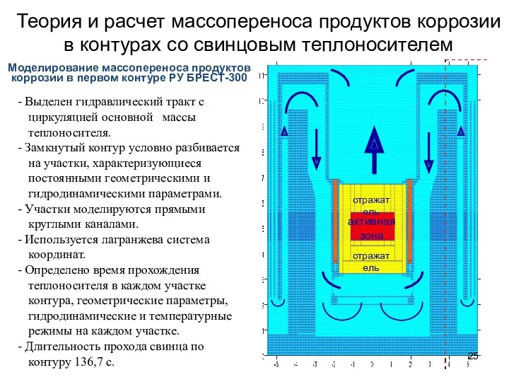 Моделирование массопереноса продуктов коррозии в первом контуре РУ БРЕСТ-300 -