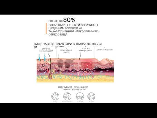 БІЛЬШ НІЖ 80% ОЗНАК СТАРІННЯ ШКІРИ СПРИЧИНЕНІ ЩОДЕННИМ ВПЛИВОМ УФ ТА ЗАБРУДНЕННЯМ НАВКОЛИШНЬОГО