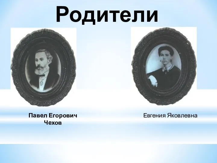 Родители Павел Егорович Чехов Евгения Яковлевна