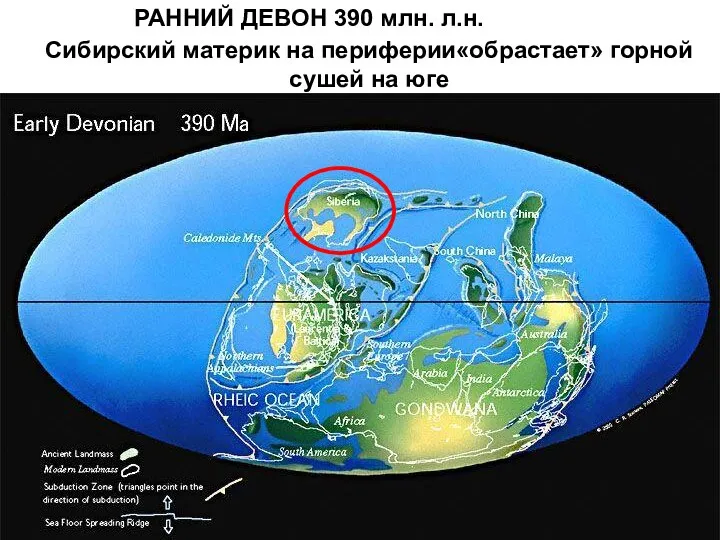 РАННИЙ ДЕВОН 390 млн. л.н. Сибирский материк на периферии«обрастает» горной сушей на юге