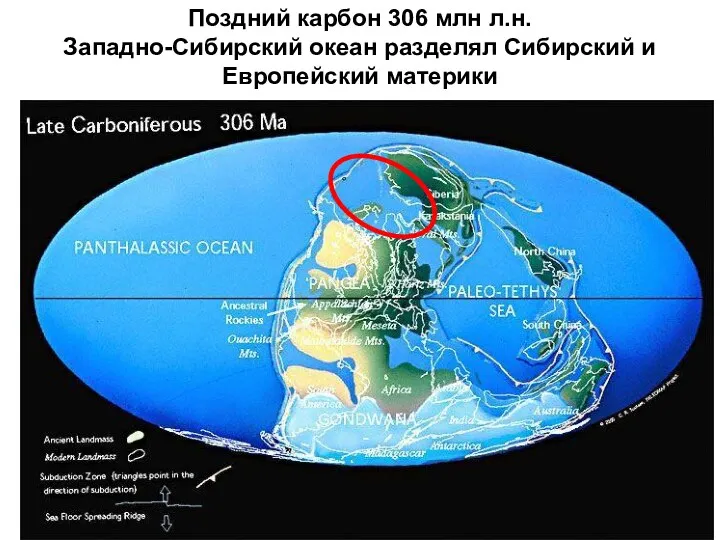 Поздний карбон 306 млн л.н. Западно-Сибирский океан разделял Сибирский и Европейский материки