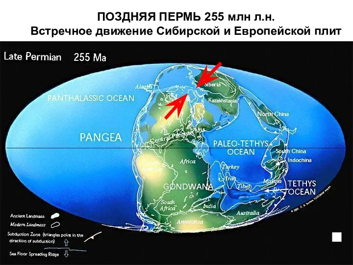 ПОЗДНЯЯ ПЕРМЬ 255 млн л.н. Встречное движение Сибирской и Европейской плит