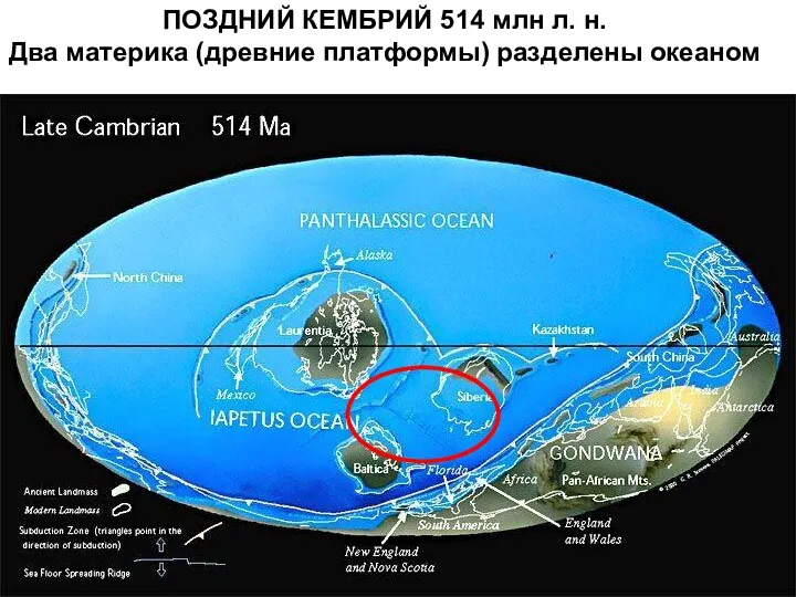 ПОЗДНИЙ КЕМБРИЙ 514 млн л. н. Два материка (древние платформы) разделены океаном