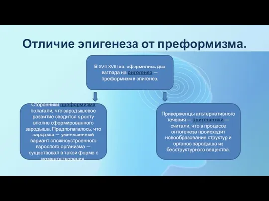 Отличие эпигенеза от преформизма. Сторонники преформизма полагали, что зародышевое развитие