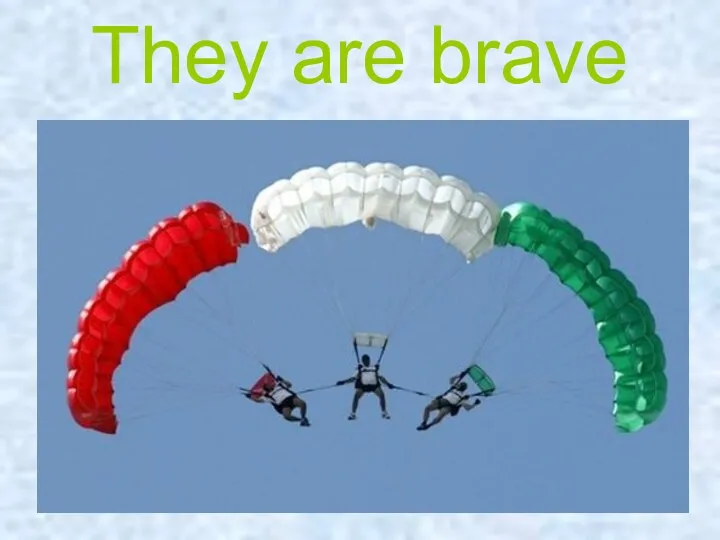 They are brave