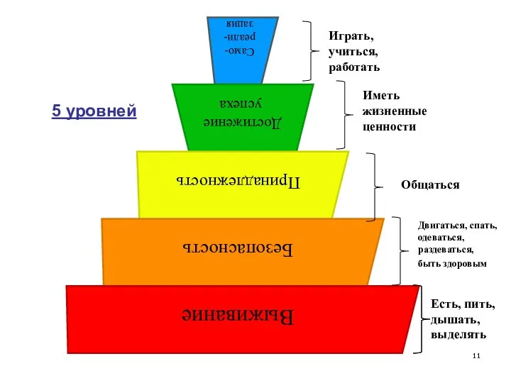 Есть, пить, дышать, выделять 5 уровней