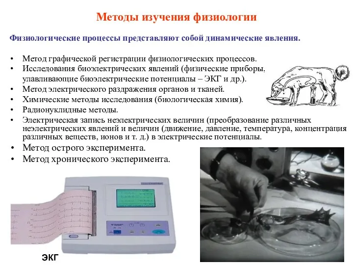 Методы изучения физиологии Физиологические процессы представляют собой динамические явления. Метод