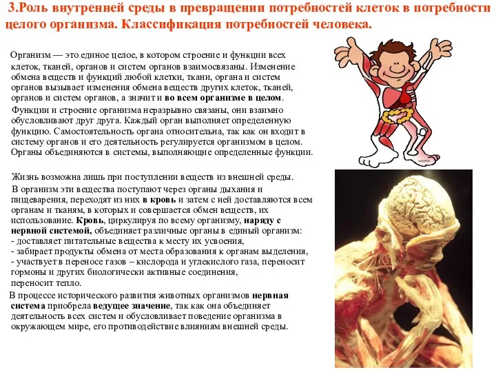 3.Роль внутренней среды в превращении потребностей клеток в потребности целого