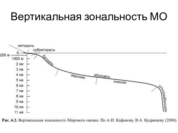 Вертикальная зональность МО