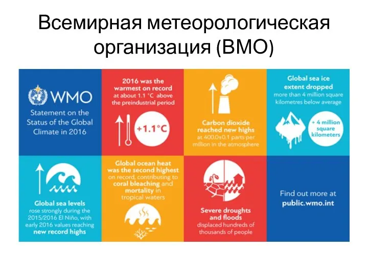 Всемирная метеорологическая организация (ВМО)