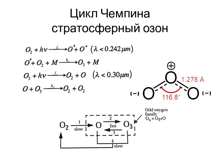 Цикл Чемпина стратосферный озон