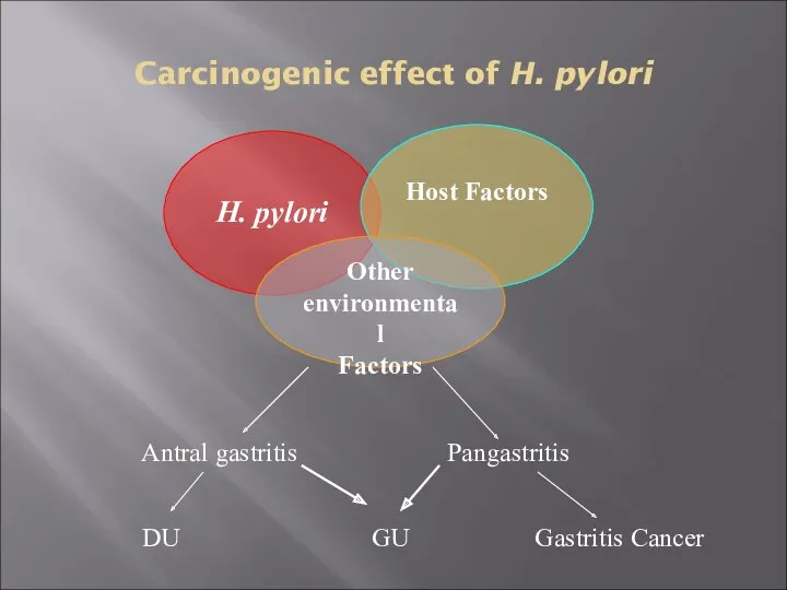 Carcinogenic effect of H. pylori H. pylori Host Factors Other environmental Factors Antral