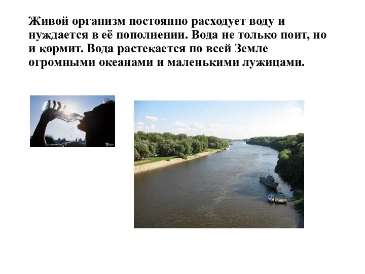 Живой организм постоянно расходует воду и нуждается в её пополнении.