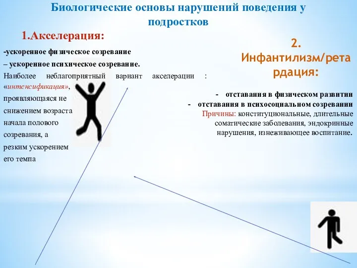 Биологические основы нарушений поведения у подростков 1.Акселерация: -ускоренное физическое созревание