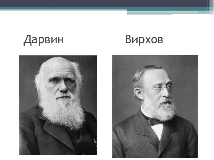 Дарвин Вирхов