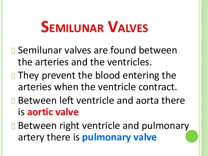 Semilunar Valves Semilunar valves are found between the arteries and the ventricles. They